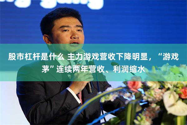 股市杠杆是什么 主力游戏营收下降明显，“游戏茅”连续两年营收、利润缩水