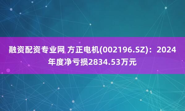 融资配资专业网 方正电机(002196.SZ)：2024年度净亏损2834.53万元