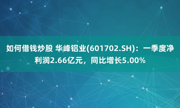 如何借钱炒股 华峰铝业(601702.SH)：一季度净利润2.66亿元，同比增长5.00%