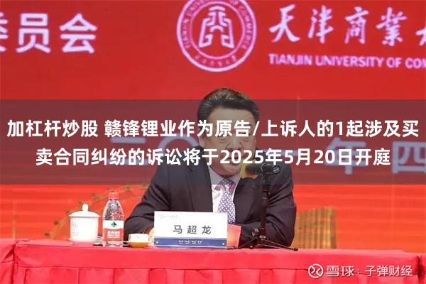 加杠杆炒股 赣锋锂业作为原告/上诉人的1起涉及买卖合同纠纷的诉讼将于2025年5月20日开庭