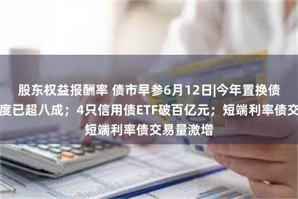 股东权益报酬率 债市早参6月12日|今年置换债券发行进度已超八成；4只信用债ETF破百亿元；短端利率债交易量激增