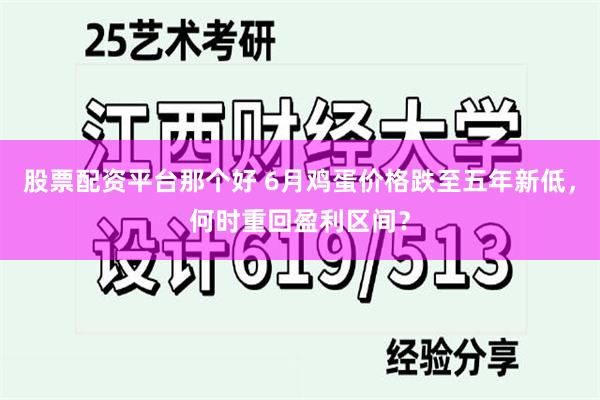 股票配资平台那个好 6月鸡蛋价格跌至五年新低，何时重回盈利区间？