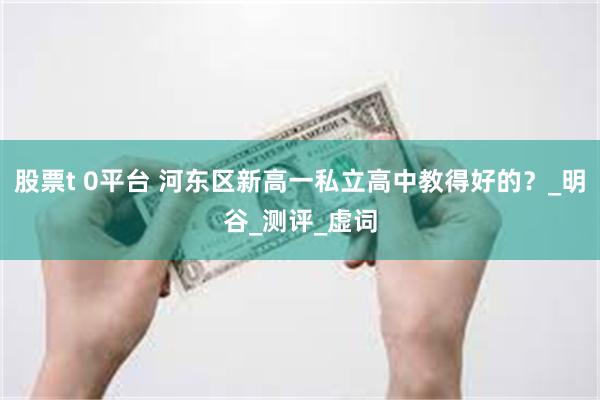 股票t 0平台 河东区新高一私立高中教得好的？_明谷_测评_虚词