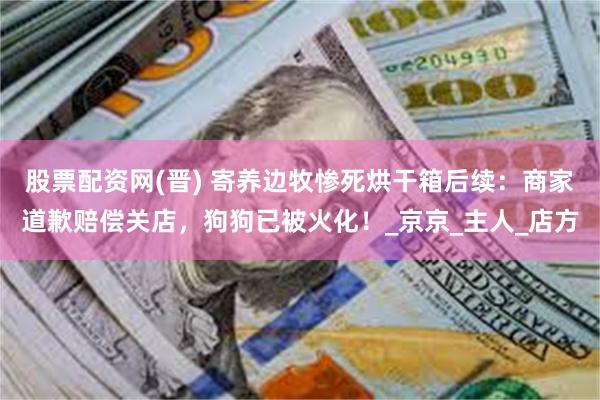 股票配资网(晋) 寄养边牧惨死烘干箱后续：商家道歉赔偿关店，狗狗已被火化！_京京_主人_店方