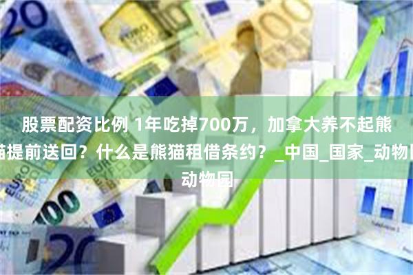 股票配资比例 1年吃掉700万，加拿大养不起熊猫提前送回？什么是熊猫租借条约？_中国_国家_动物园