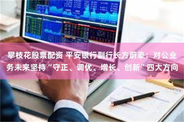 攀枝花股票配资 平安银行副行长方蔚豪：对公业务未来坚持“守正、调优、增长、创新”四大方向